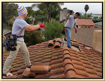 broken roofing tiles